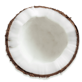 Coconut Flour